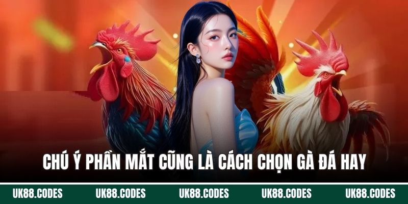 Chú ý phần mắt cũng là cách chọn gà đá hay